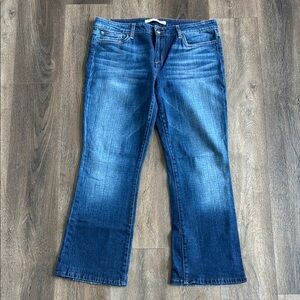 Joe’s Jeans.  Women’s size 32, fit is Muse.